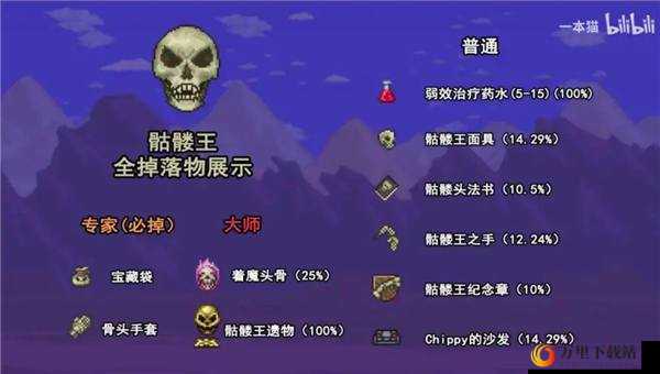 魔渊之刃 25 层 BOSS 骷髅王全方位深度攻略指南 助你轻松通关