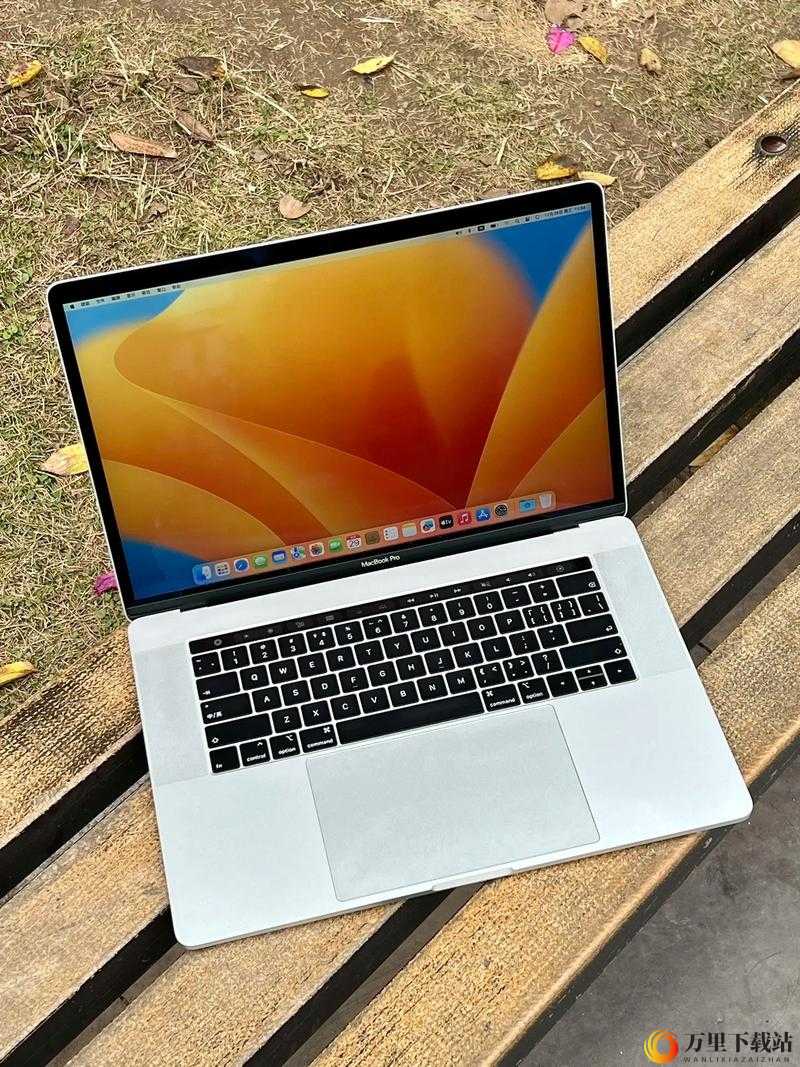 18 岁 macbook pro 免费：机遇还是挑战？